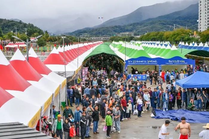 영주 풍기인삼축제 포스터 사진 4