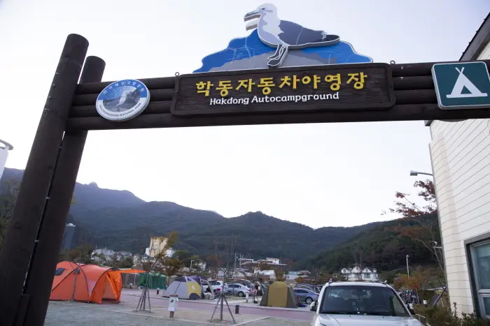 학동자동차야영장 · 레포츠