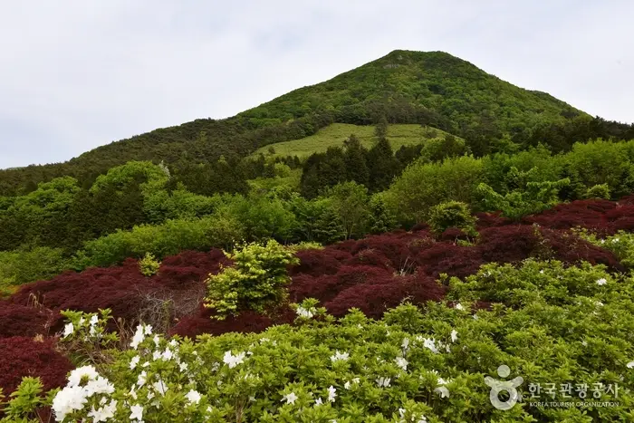 만연산 · 관광지