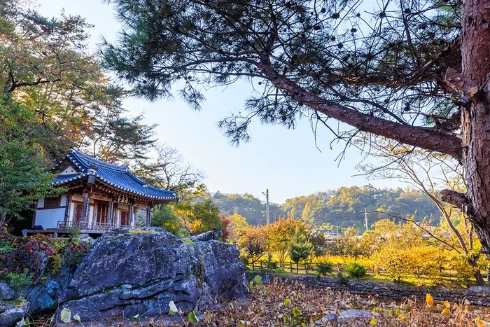주암정 · 관광지