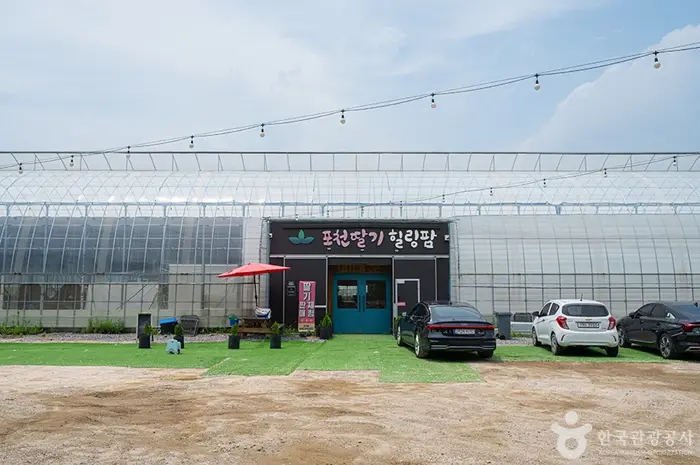 포천딸기힐링팜 · 관광지