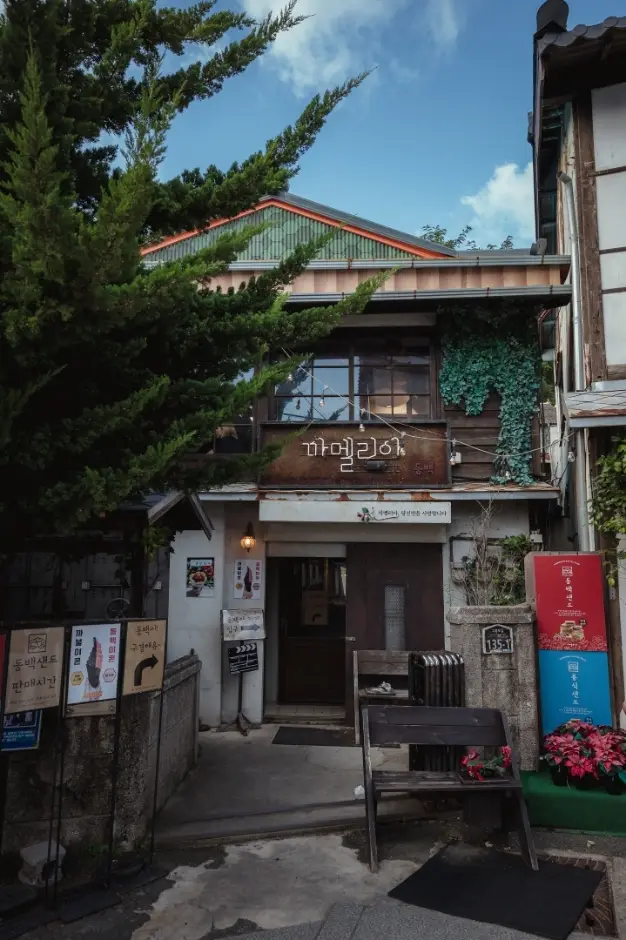 까멜리아인구룡포 · 음식점