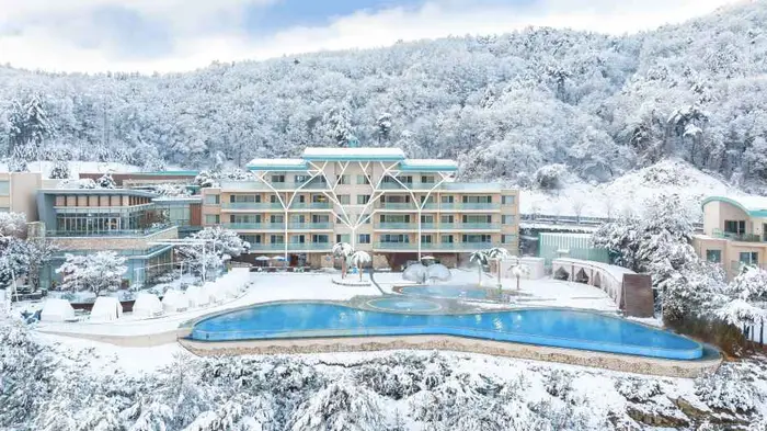 소노펠리체 빌리지 비발디파크 · 숙박
