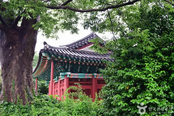 고소대 · 관광지