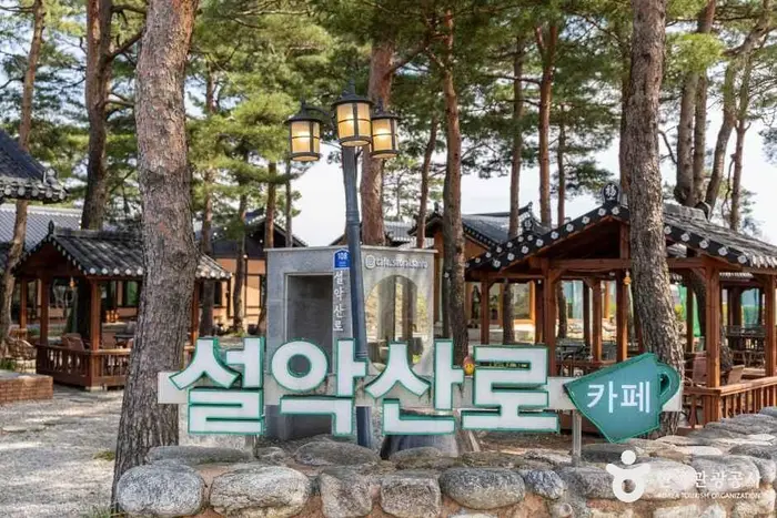 카페 설악산로 · 음식점