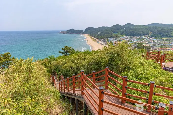 덕봉산 해안생태탐방로 · 레포츠