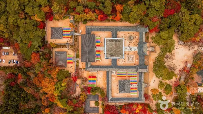 경주시 관광특구 · 관광지