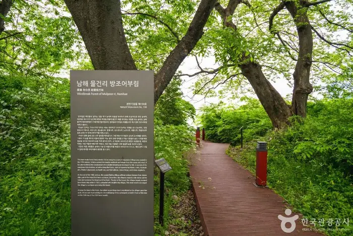 남해 물건리 방조어부림 · 관광지