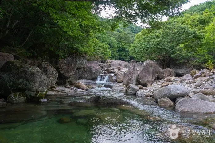 피아골계곡 · 관광지