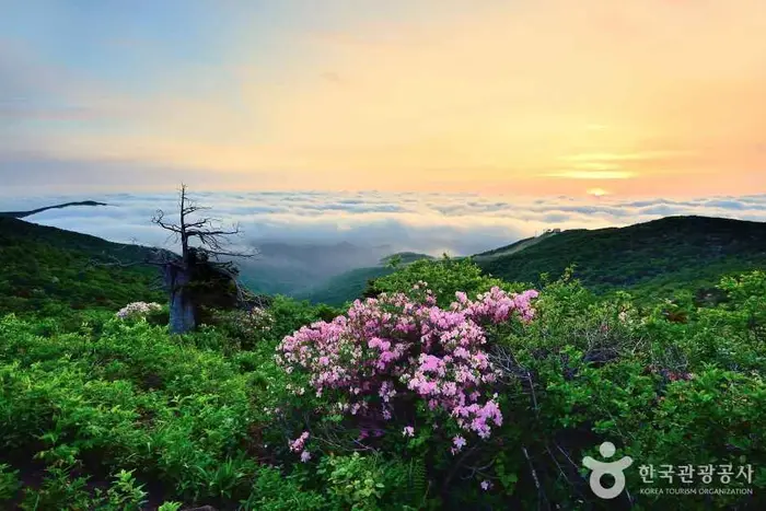 함백산 · 관광지