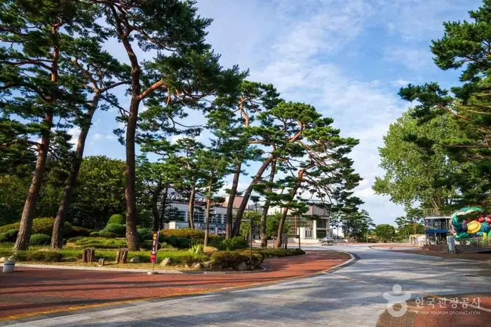 울진 왕피천 공원 · 관광지
