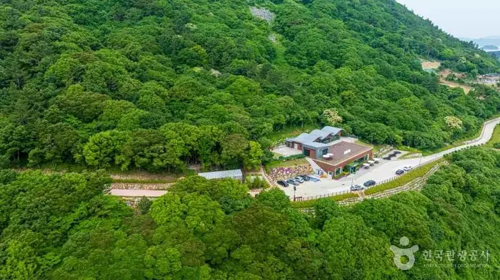 약산 해안 치유의 숲 · 관광지